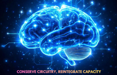 NATIONAL NEUROMODULATION COURSE (ECT & TMS) 2026